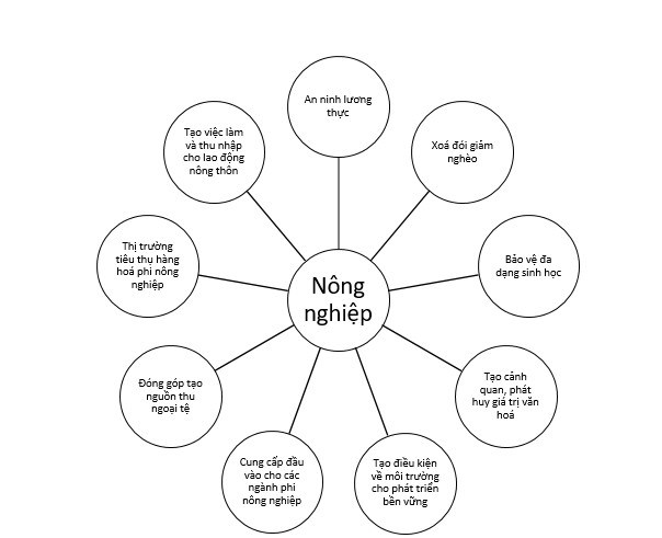 Hình 1. Các chức năng của ngành nông nghiệp