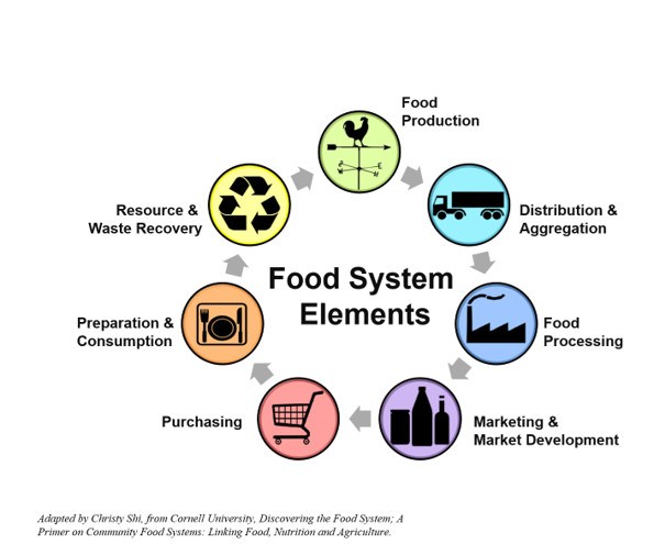 Hình 3. Các thành phần cơ bản của hệ thống sản xuất lương thực  (Nguồn: https://localfood.ces.ncsu.edu/food-system-supply-chain/)  