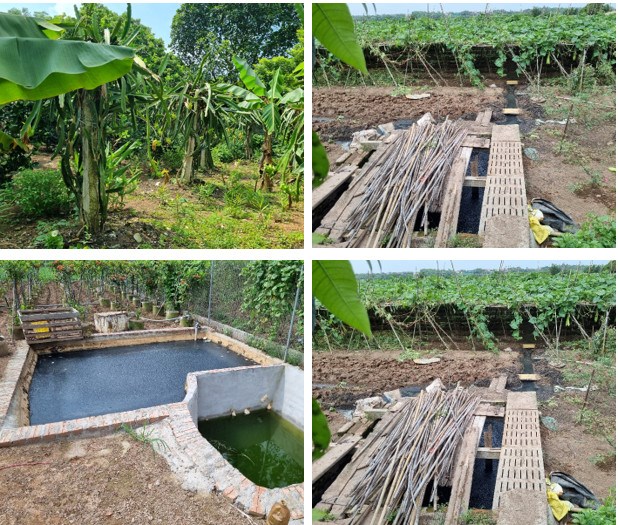 Một số hình ảnh về hiện trạng sử dụng nước thải chăn nuôi cho trồng trọt tại địa bàn nghiên cứu