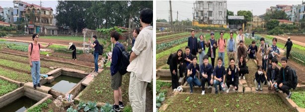 Đoàn sinh viên tham quan và học tập tại HTX rau sạch Đặng Xá, Gia Lâm, Hà Nội