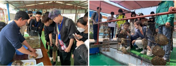 Đoàn sinh viên tham quan và học tập tại Khu nuôi trồng và sản xuất Ngọc Trai Hạ Long, Quảng Ninh
