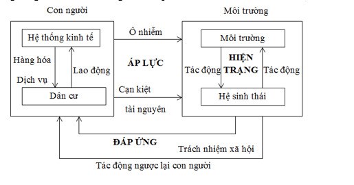 Cấu trúc khung lý thuyết về Áp lực - Hiện trạng - Đáp ứng (RIVM/UNEP, 1995)