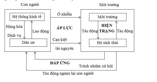 Cấu trúc khung lý thuyết về Áp lực - Hiện trạng - Đáp ứng (RIVM/UNEP, 1995)