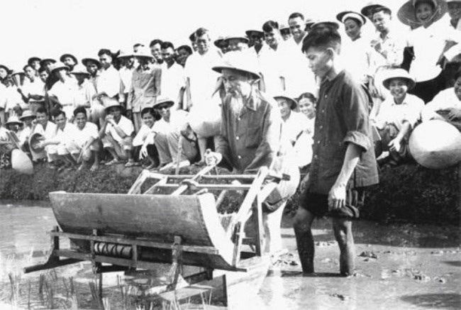 Bác Hồ dùng thử máy cấy tại Trại thí nghiệm lúa thuộc Sở Nông lâm Hà Nội năm 1960. Ảnh tư liệu