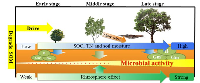 Mối quan hệ giữa dinh dưỡng đất và hệ vi sinh vật đất