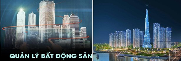 Quản lý bất động sản – Ngành học hấp dẫn với cơ hội việc làm rộng mở