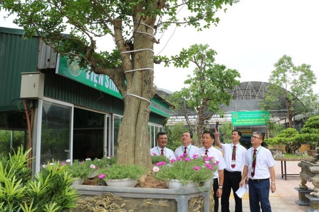 PGS.TS Vũ Ngọc Huyên, Phó Giám đốc Học viện Nông nghiệp Việt Nam cùng lãnh đạo Viện Sinh vật cảnh cùng đánh giá một cây cảnh có giá trị.