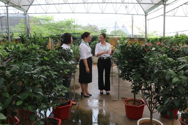 Viện Sinh vật cảnh (Học viện Nông nghiệp Việt Nam) sẽ ưu tiên nghiên cứu chọn tạo giống cây trồng, vật nuôi; sản xuất, kinh doanh các sản phẩm là kết quả nghiên cứu khoa học và phát triển công nghệ.