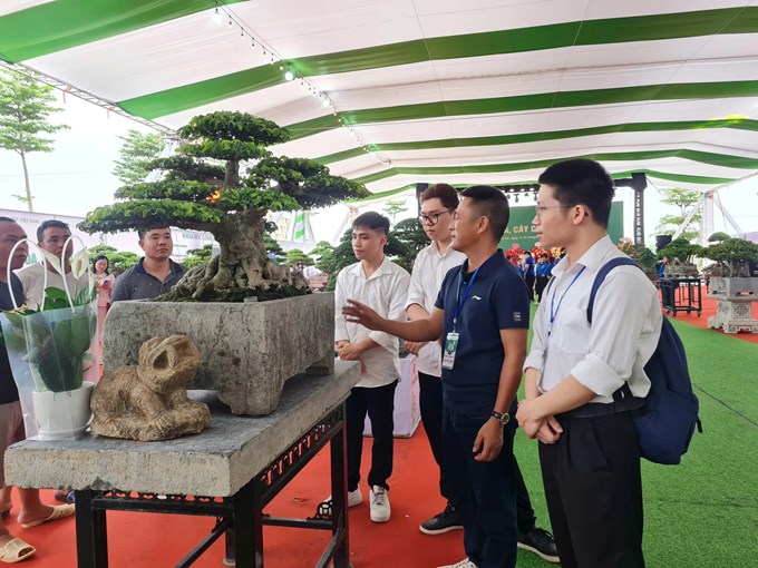 Một nghệ nhân giới thiệu với sinh viên Học viện Nông nghiệp Việt Nam về giá trị của một cây cảnh có giá trị.