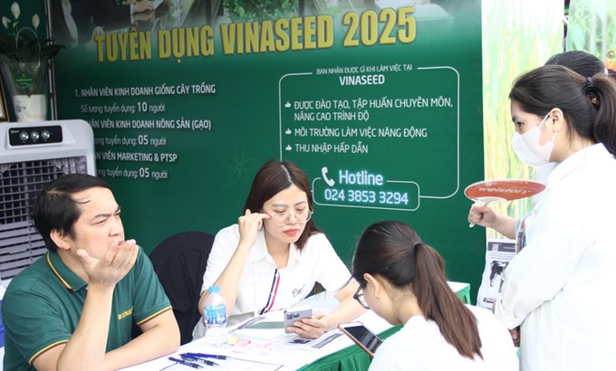 Sinh viên tìm hiểu vị trí việc làm tại các đơn vị tuyển dụng.