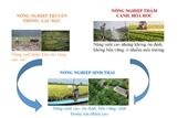 Nông nghiệp sinh thái – Hướng đi tất yếu cho nền nông nghiệp Việt Nam