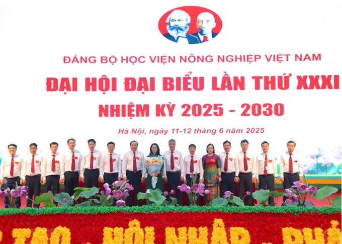 Ban Chấp hành Đảng bộ Học viện Nông nghiệp Việt Nam nhiệm kỳ 2025 - 2030 gồm 15 đồng chí. GS.TS Nguyễn Thị Lan tiếp tục được tín nhiệm bầu là Bí thư Đảng ủy.