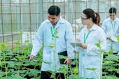 Học viện Nông nghiệp Việt Nam công bố điểm chuẩn năm 2025, cao nhất 24,1 điểm
