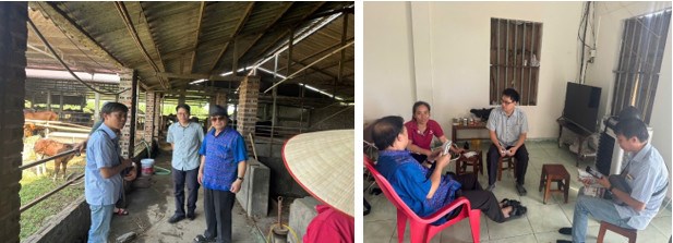 Học viên Nguyễn Ngọc Tú tham gia xây dựng mô hình Nông nghiệp tuần hoàn cho hộ chăn nuôi bò thịt tại xã Đại Sơn, thành phố Hải Phòng trong khuôn khổ đề tài cấp bộ “Nghiên cứu giải pháp quản lý hiệu quả chất thải và phụ phẩm nông nghiệp theo hướng kinh tế tuần hoàn vùng đồng bằng sông Hồng”