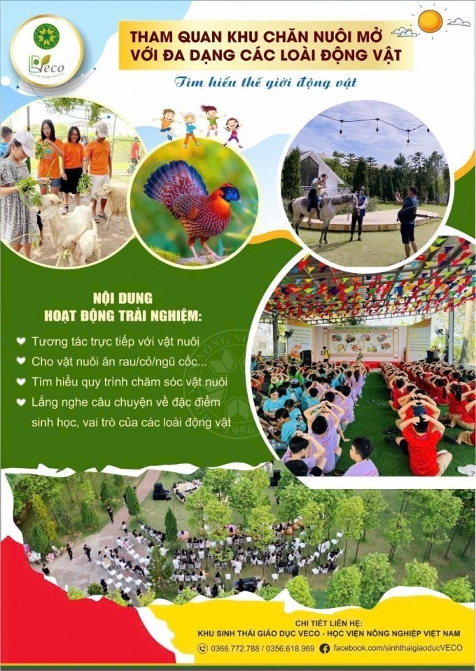 VECO không chỉ là nơi học tập và trải nghiệm, mà còn là không gian nuôi dưỡng trí tuệ, sáng tạo và tình yêu thiên nhiên cho thế hệ trẻ. Ảnh: NTCC