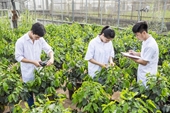 Kiến nghị cơ chế đặc thù phát triển nhân lực nông nghiệp chất lượng cao