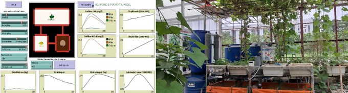 Mô hình máy tính mô phỏng hệ aquaponics và mô hình thực nghiệm tại Học viện Nông nghiệp Việt Nam