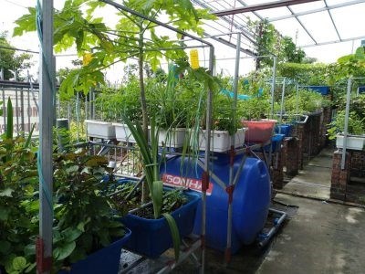 Các mô hình này thường xuyên được cập nhật và giới thiệu trên cổng thông tin của Trung tâm Sinh thái nông nghiệp (CARES), Học viện Nông nghiệp Việt Nam.