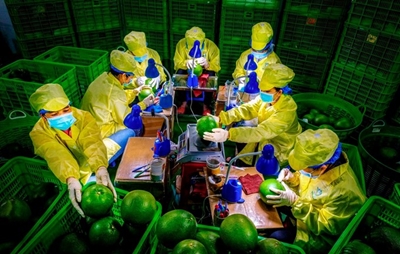 Phát triển bền vững nông nghiệp, kinh tế nông thôn và nông dân sau gần 40 năm đổi mới kỳ 2