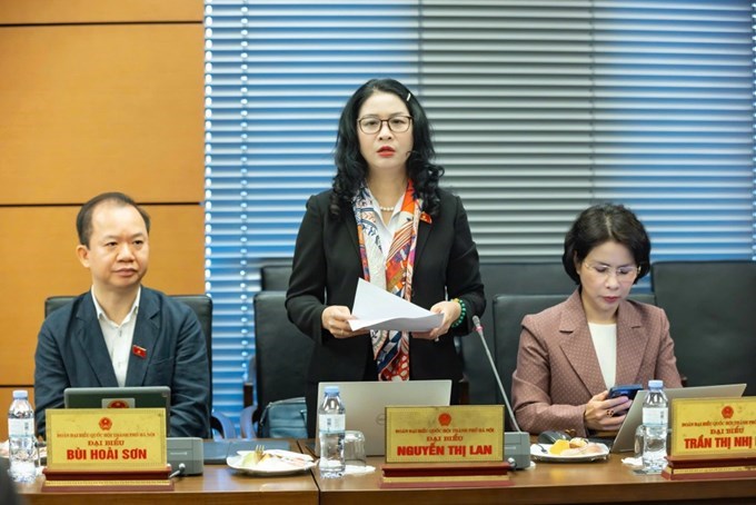 Đại biểu Nguyễn Thị Lan (Đoàn ĐBQH TP Hà Nội)