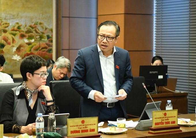 ĐBQH Nguyễn Trúc Anh tham gia thảo luận