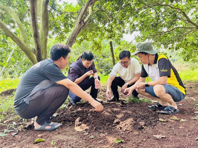 Các nhà khoa học ứng dụng nghiên cứu vào thực tế để phát triển kinh tế xanh