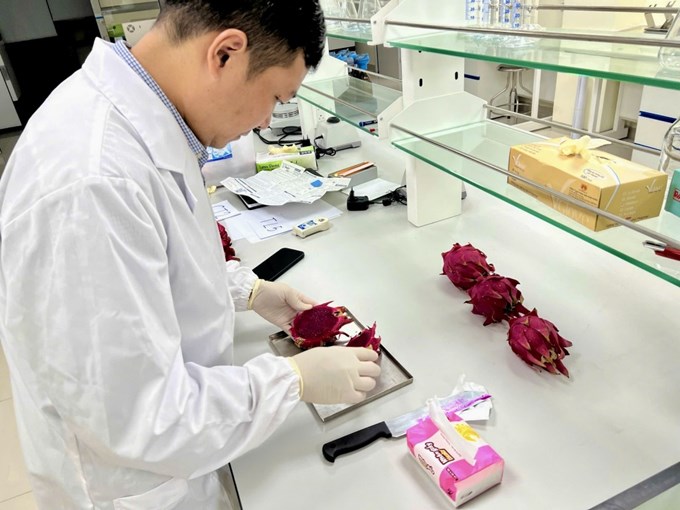 PGS.TS. Võ Hữu Công nghiên cứu ứng dụng ủ compost từ chất thải chăn nuôi giúp cây thanh long phát triển đồng đều