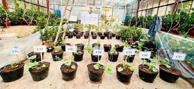 Seminar khoa học nhóm nghiên cứu mạnh Công nghệ Sinh học Môi trường và Nông nghiệp