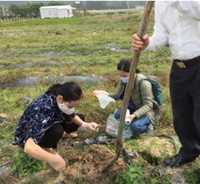 Tổng quan về bệnh thối nhũn Soft Rot trên cây trồng