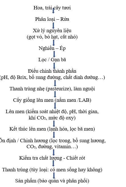 Sơ đồ quy trình lên men nước uống hoa quả