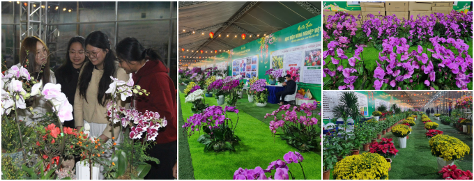 Các loài hoa do chính các nhà khoa học của Học viện Nông nghiệp Việt Nam nghiên cứu, phát triển được giới thiệu tại Hội chợ.