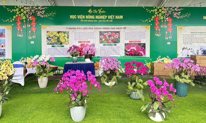 Nhiều gian hàng được trưng bày tại Hội chợ Xuân 2026.