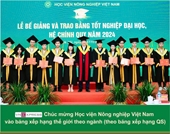 13 đại học Việt Nam vào bảng xếp hạng thế giới theo ngành