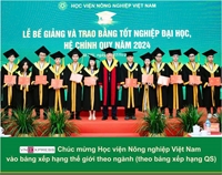 13 đại học Việt Nam vào bảng xếp hạng thế giới theo ngành