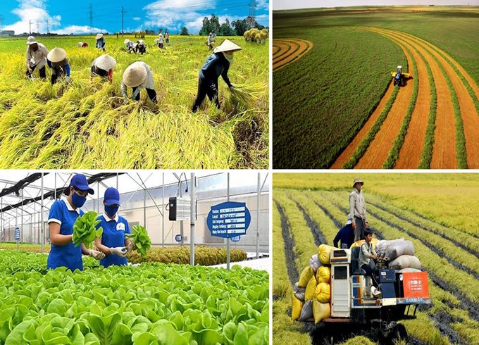 Chuyển đổi số trong quản lý đất đai và tài nguyên là một phần trọng tâm của Nghị quyết 57-NQ/TW