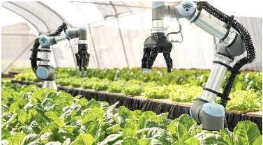 Hiện thực hóa Nghị quyết 57 trong thực tiễn Đôi điều lạm bàn