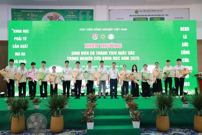 Thành tích hoạt động khoa học công nghệ của thầy và trò khoa Tài nguyên và Môi trường