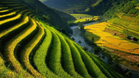 Quản trị tài nguyên đất đai - Từ di sản lịch sử, kinh nghiệm toàn cầu đến tầm nhìn đột phá trong Dự thảo Luật Đất đai 2026