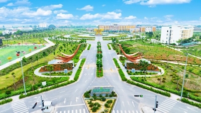 12 đại học được chọn dẫn dắt giáo dục Hà Nội