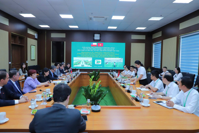 Toàn cảnh buổi làm việc