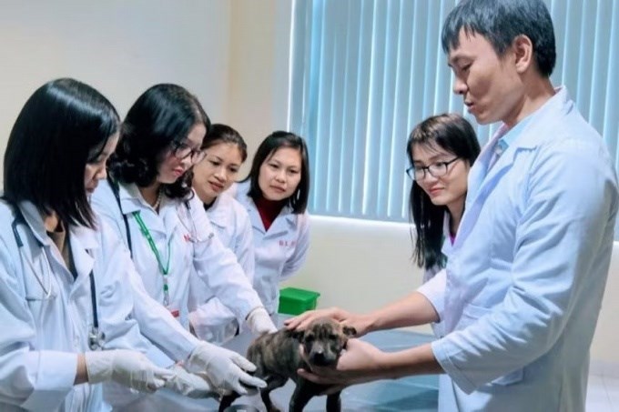 Lĩnh vực nghiên cứu cốt lõi của GS.TS Nguyễn Thị Lan là công nghệ sinh học thú y, dịch tễ học và chẩn đoán bệnh trên vật nuôi.