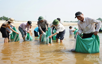 Quy hoạch dài hơi cho bảo tồn, phát triển nguồn lợi thủy sản