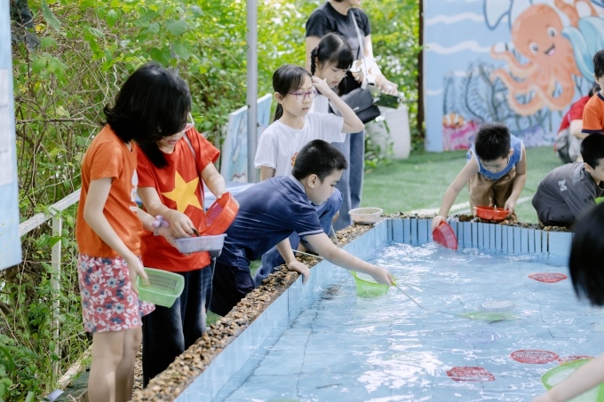 ảnh slide