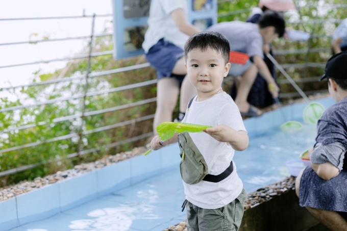 ảnh slide