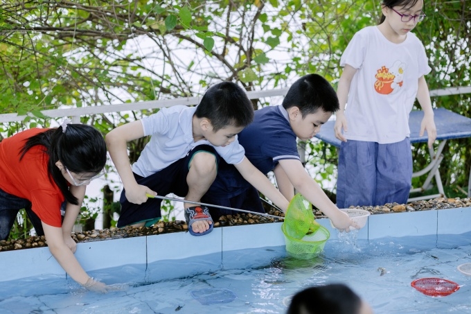 ảnh slide