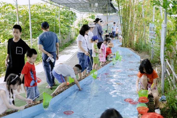 ảnh slide