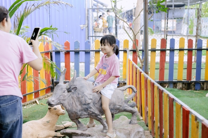 ảnh slide