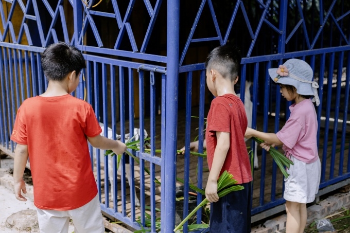 ảnh slide