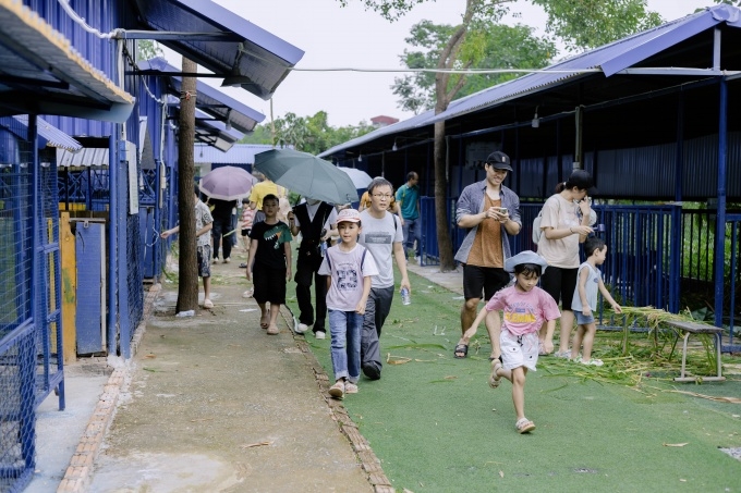 ảnh slide