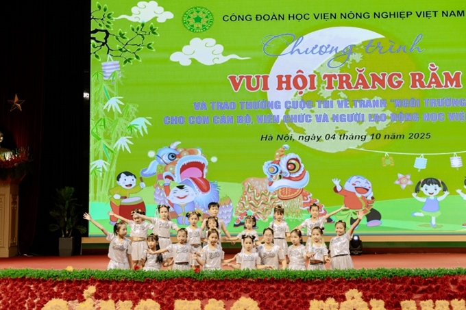 ảnh slide